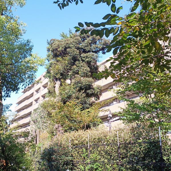 【防災力:３】芦花公園プレスティージュ